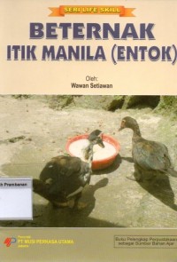 Beternak Itik Manila (Entok)