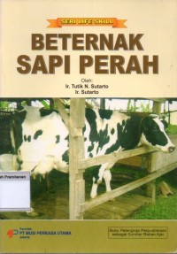 Beternak Sapi Perah
